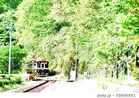 わたらせ渓谷鉄道上神梅ホームより下りディーゼル列車 50606891