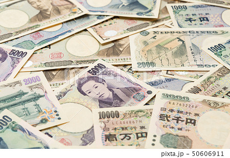 紙幣4種　お札いろいろ　全種類 50606911