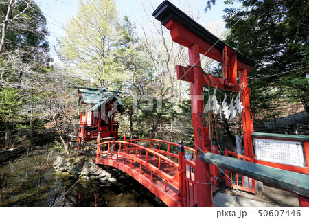 札幌　白石神社　白石弁天神社と弁天橋 50607446