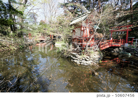 札幌 白石神社 白石弁天神社と霊泉池(仮称) 札幌 白石神社 白石弁天神社と霊泉池(仮称) 50607456