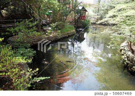 札幌　白石神社　　白石弁天神社と霊泉池（仮称） 50607469