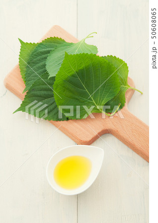 エゴマ油 50608065