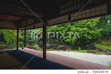 圓徳院 北庭 圓徳院 北庭 50608076