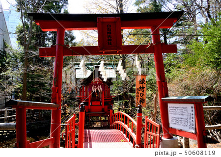 札幌市白石神社境内社の白石弁天神社 札幌市白石神社境内社の白石弁天神社 50608119
