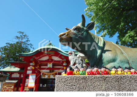 愛知県　名古屋市　上野天満宮 50608366