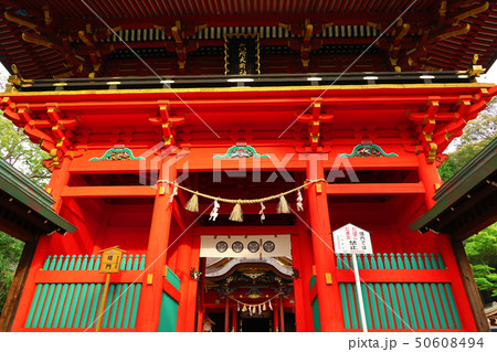 愛知県 岡崎市 六所神社 愛知県 岡崎市 六所神社 50608494