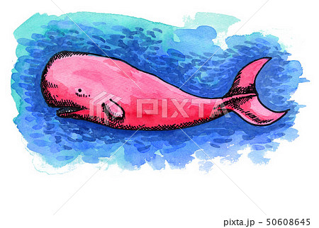 pinkwhale19511pix7 50608645