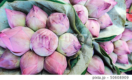 Bouquet of lotus flowers background Bouquet of lotus flowers background 50608909