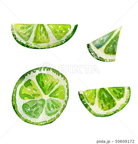 Watercolor set with lime slices. Watercolor set with lime slices. 50609172