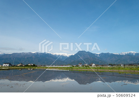北アルプスと湛水された水田　　　　北安曇郡池田町 50609524