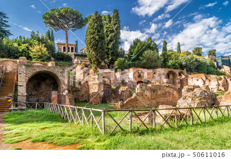 Roman Forum ruins in summer, Rome, Italy Roman Forum ruins in summer, Rome, Italy 50611016
