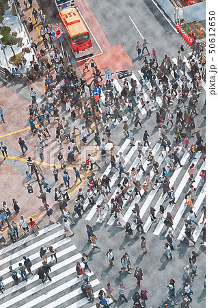 渋谷 渋谷 50612650