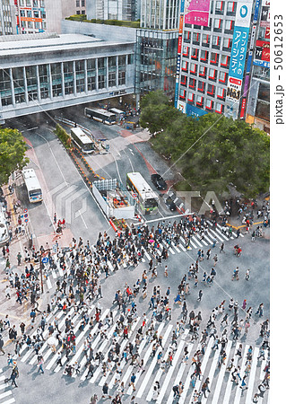 渋谷 50612653