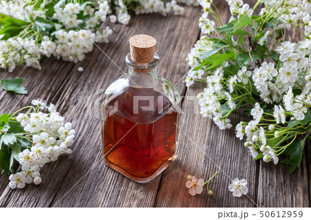A bottle of hawthorn tincture with hawthorn A bottle of hawthorn tincture with hawthorn 50612959