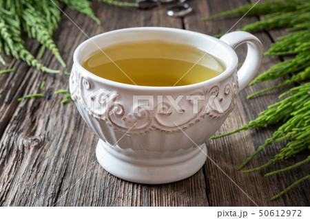 A cup of horsetail tea with fresh horsetail A cup of horsetail tea with fresh horsetail 50612972