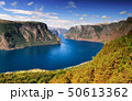Beautiful summertime sunny panorama of Aurlandsfjord, Norway 50613362