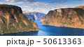 Beautiful summertime sunny panorama of Aurlandsfjord, Norway 50613363