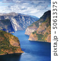 Beautiful summertime sunny panorama of Aurlandsfjord, Norway 50613375