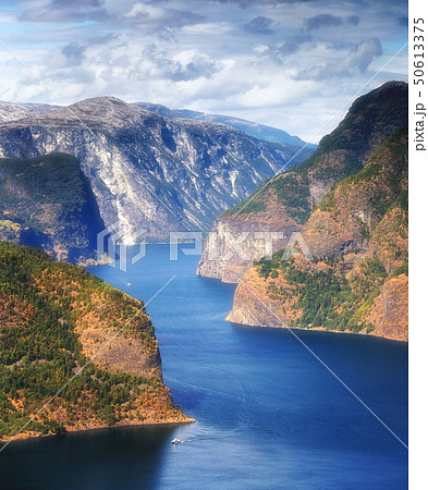Beautiful summertime sunny panorama of Aurlandsfjord, Norway 50613375