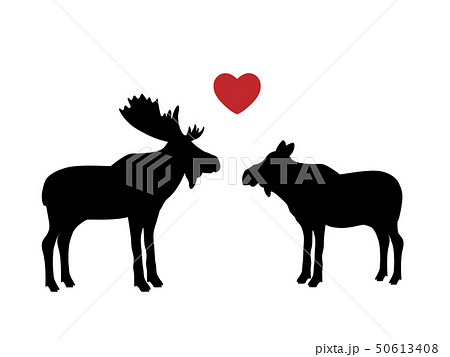 Elk moose love mammal black silhouette animal 50613408