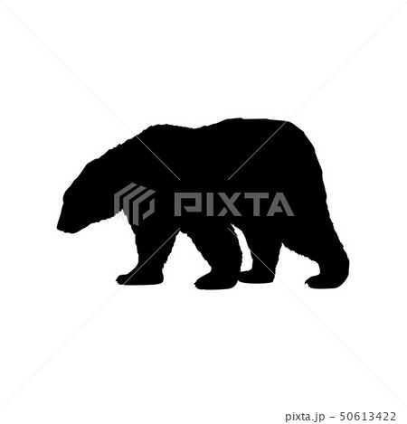 Brown bear wild black silhouette animal Brown bear wild black silhouette animal 50613422