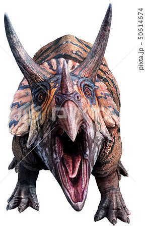 Triceratops 3d Illustrationのイラスト素材