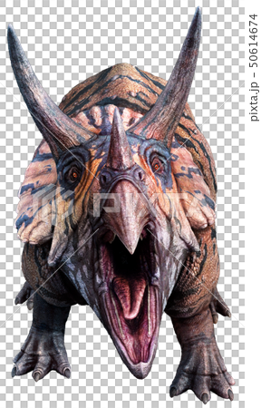 Triceratops 3D illustration Triceratops 3D illustration 50614674