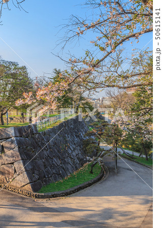 春の盛岡城の御末御門跡の風景 50615141