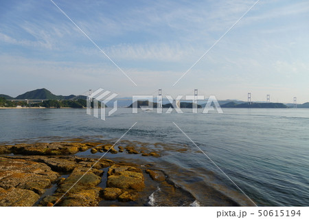 来島海峡・しまなみ海道・来島海峡大橋・五月・青空・快晴・今治・全景・大島 来島海峡・しまなみ海道・来島海峡大橋・五月・青空・快晴・今治・全景・大島 50615194