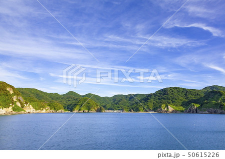 伊豆半島西海岸妻良漁港の風景、静岡県南伊豆町にて 50615226