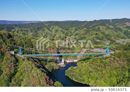 空撮した竜神大吊橋 50616373