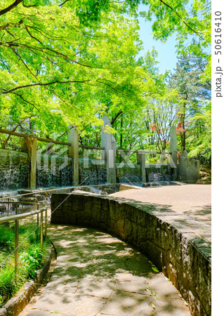 蚕糸の森公園 蚕糸の森公園 50616410