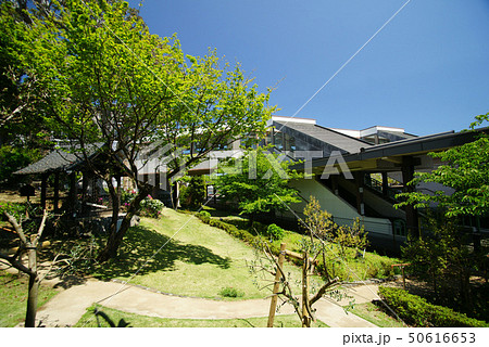 伊豆急「伊豆高原駅」 50616653