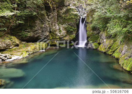 にこ淵(高知県吾川郡) にこ淵(高知県吾川郡) 50616706