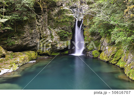にこ淵(高知県吾川郡) にこ淵(高知県吾川郡) 50616707