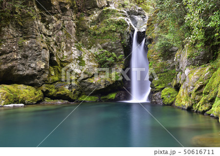 にこ淵（高知県吾川郡） 50616711