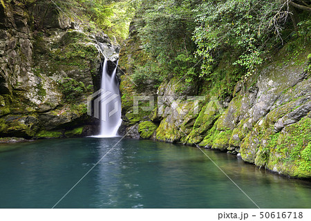 にこ淵(高知県吾川郡) にこ淵(高知県吾川郡) 50616718