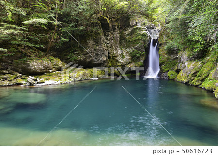 にこ淵(高知県吾川郡) にこ淵(高知県吾川郡) 50616723