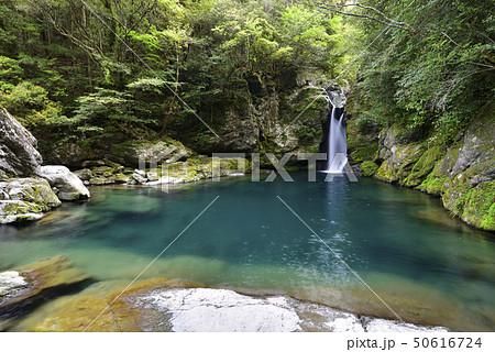 にこ淵(高知県吾川郡) にこ淵(高知県吾川郡) 50616724