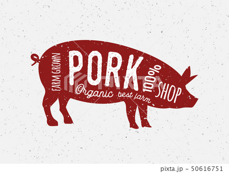 Pork butcher vintage diagram meat illustration. Pig cut butchery farm food menu logo bacon Pork butcher vintage diagram meat illustration. Pig cut butchery farm food menu logo bacon 50616751