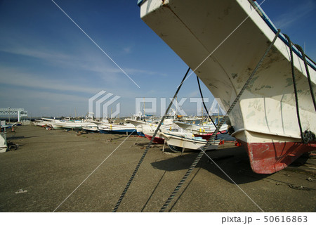 大磯漁港 50616863