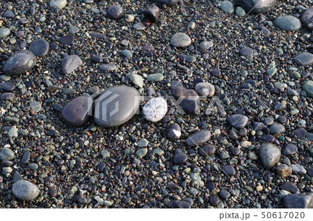 海岸の砂利 大磯町こゆるぎ海岸 海岸の砂利 大磯町こゆるぎ海岸 50617020