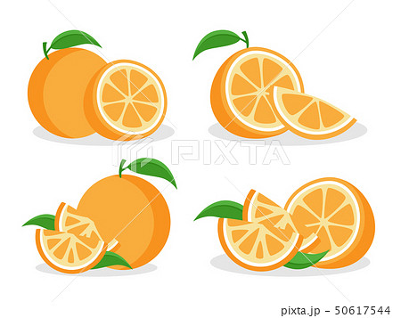 Orange Fruit 50617544