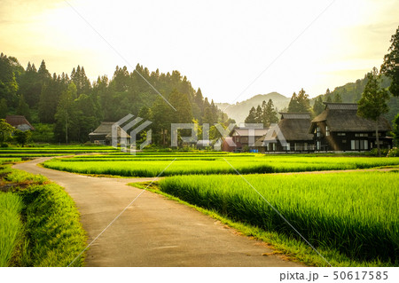 夏の農村風景 (荻ノ島環状集落の夕暮れ) 夏の農村風景 (荻ノ島環状集落の夕暮れ) 50617585