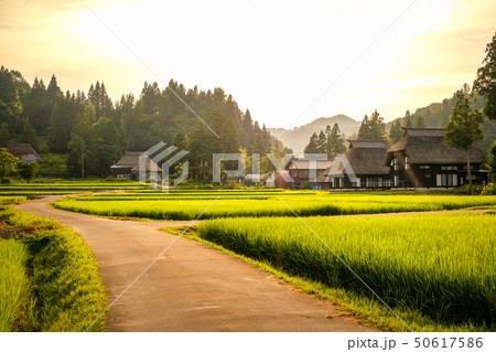 夏の農村風景 (荻ノ島環状集落の夕暮れ) 夏の農村風景 (荻ノ島環状集落の夕暮れ) 50617586