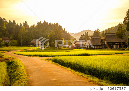 夏の農村風景 （荻ノ島環状集落の夕暮れ） 50617587