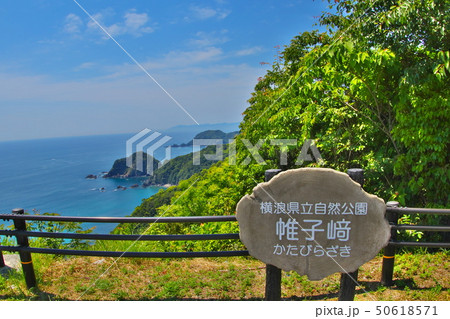 ドライブに最適　松浪黒潮スカイライン　龍の浜の風景 50618571
