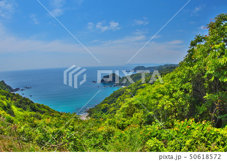 ドライブに最適　松浪黒潮スカイライン　龍の浜の風景 50618572