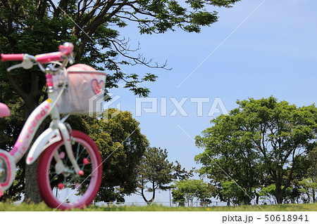 自転車 自転車 50618941