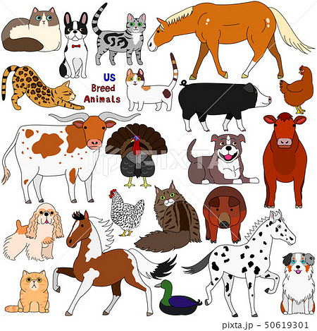 ペットと家畜のセット アメリカのイラスト素材